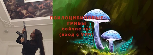 дмт Абаза