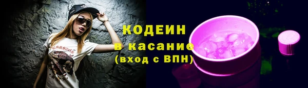 дмт Абаза