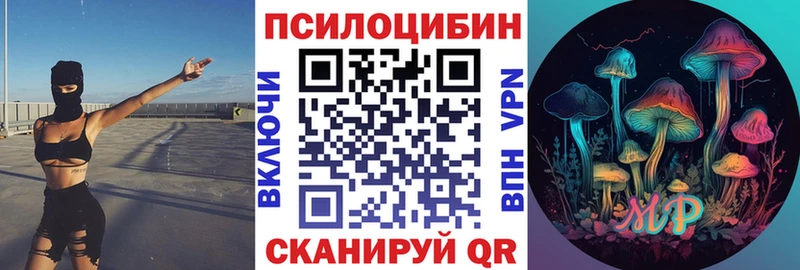 Псилоцибиновые грибы GOLDEN TEACHER  продажа наркотиков  Избербаш 