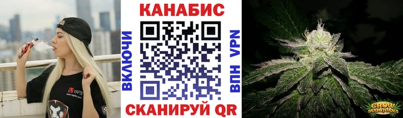 наркота  Избербаш  Каннабис планчик 